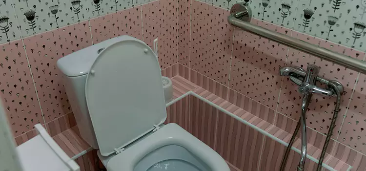 Meeting Diverse Needs With Accessible Restroom Solutions in St. Clair Shores, MI